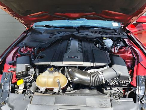 Used 2019 Ford Mustang GT Premium w/ Equipment Group 401A RWD image 23