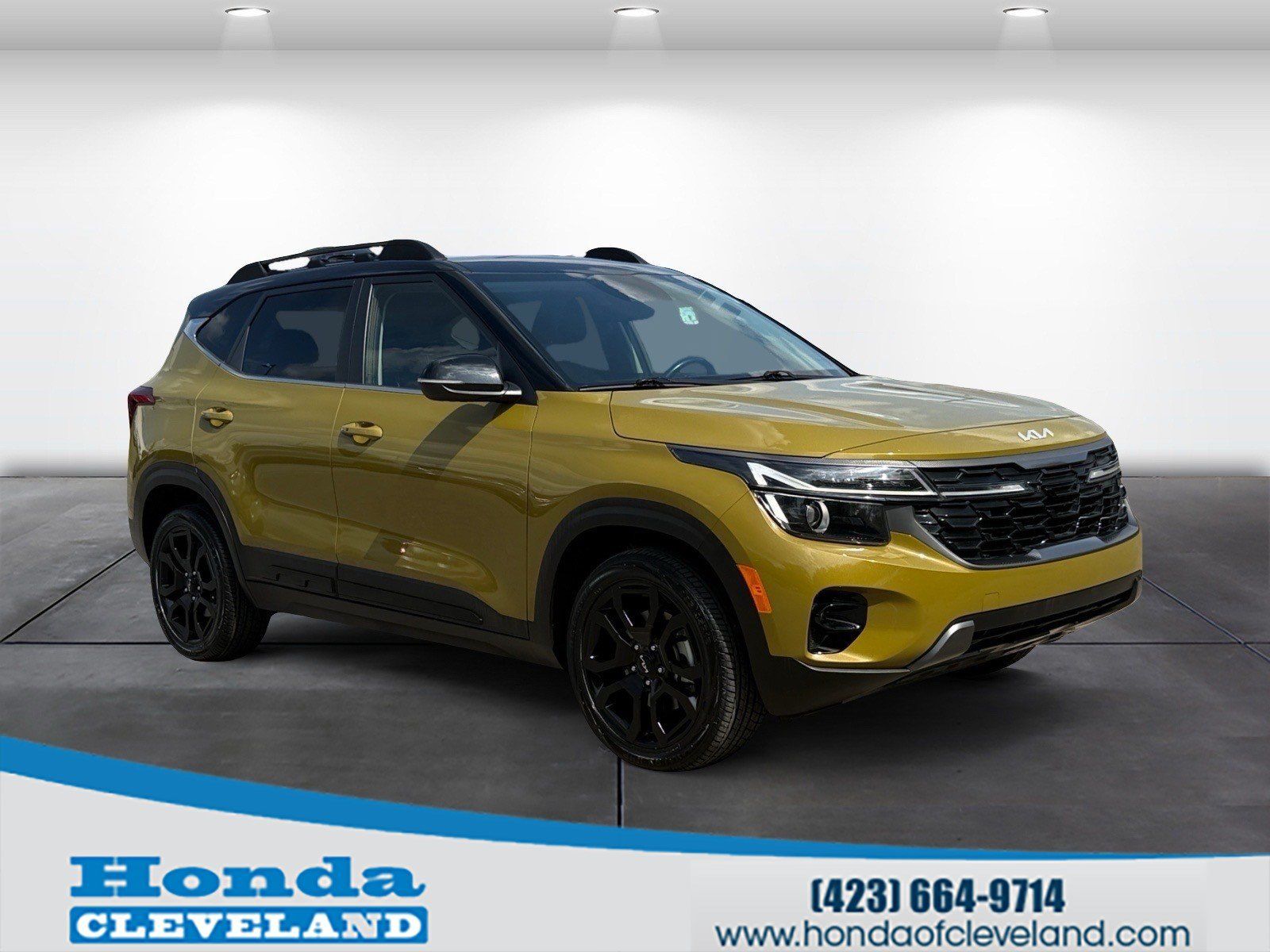 Used 2024 Kia Seltos X-Line AWD/4WD image 1