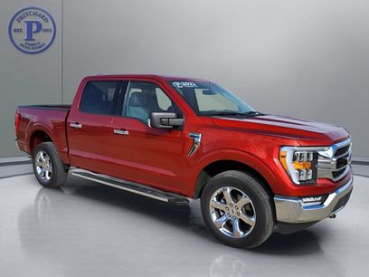 Used 2023 Ford F150 XLT w/ Equipment Group 302A High