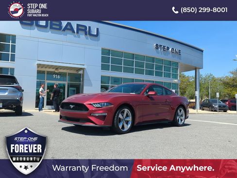 Used 2019 Ford Mustang Coupe w/ Equipment Group 101A image 1