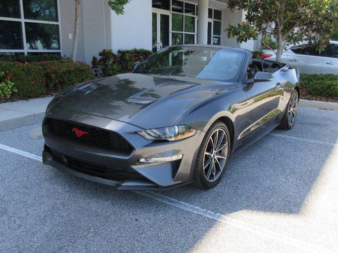 Used 2019 Ford Mustang Premium w/ Equipment Group 201A RWD image 1