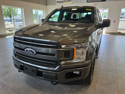 Used 2019 Ford F150 XLT w/ Equipment Group 302A Luxury AWD/4WD image 2