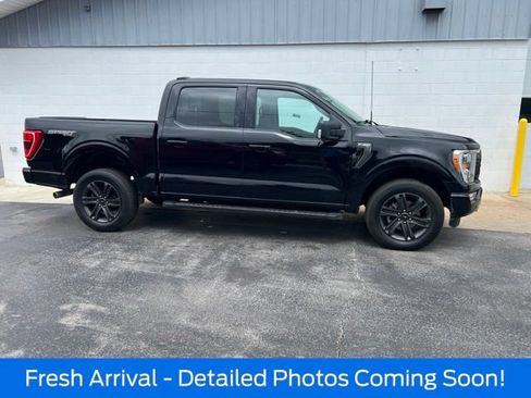 Used 2023 Ford F150 XLT w/ Equipment Group 302A High AWD/4WD image 4