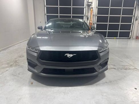Used 2024 Ford Mustang Premium RWD image 2