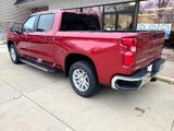 Used 2020 Chevrolet Silverado 1500 LT w/ All-Star Edition image 4