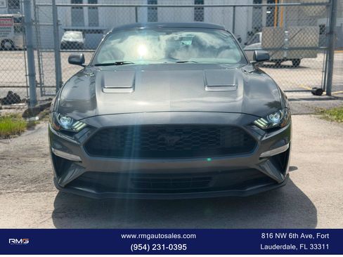 Used 2019 Ford Mustang Coupe w/ Black Accent Package RWD image 2