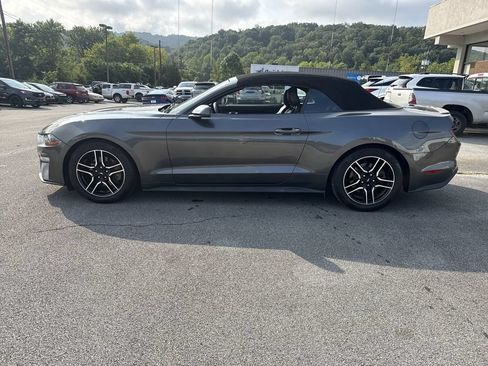 Used 2018 Ford Mustang Premium RWD image 3