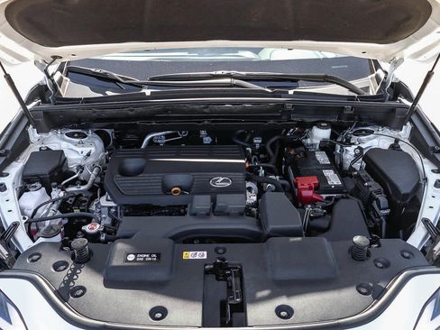 Certified 2025 Lexus NX 250 FWD w/ Premium Package image 28