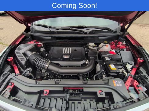 Used 2025 Cadillac XT5 Premium Luxury AWD/4WD image 14