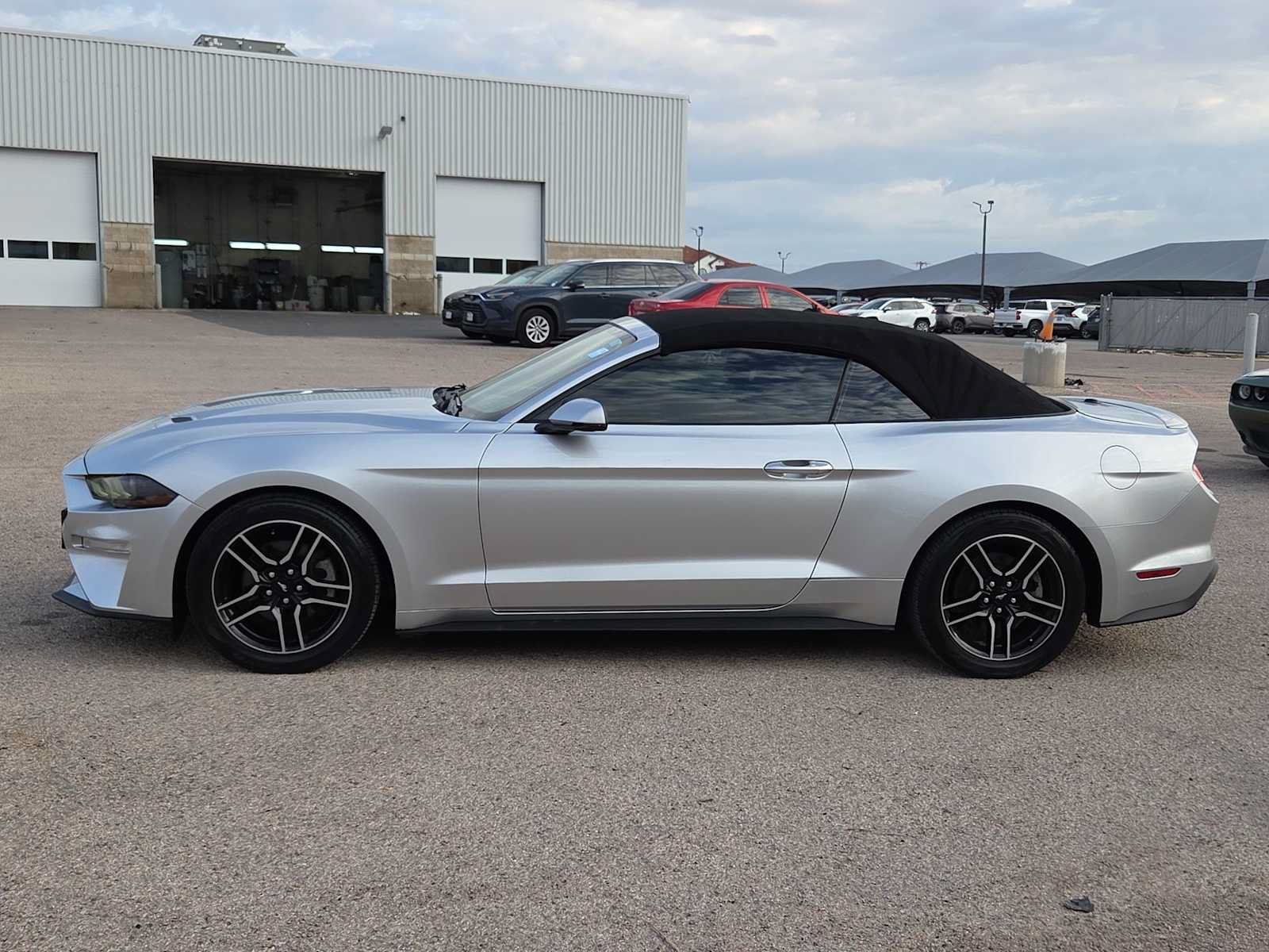 Used 2019 Ford Mustang Premium RWD image 5