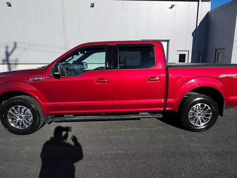 Used 2019 Ford F150 XLT w/ Equipment Group 302A Luxury image 5