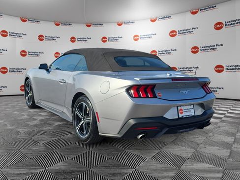 Used 2025 Ford Mustang Premium image 5