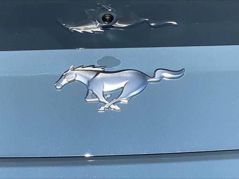 New 2026 Ford Mustang Coupe image 14