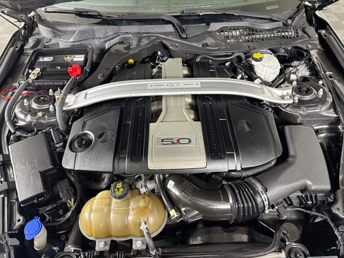 Used 2018 Ford Mustang GT w/ Equipment Group 301A RWD image 37