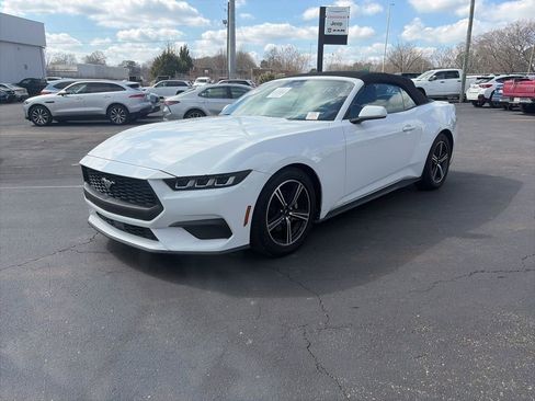 Used 2024 Ford Mustang Premium image 3