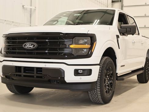 New 2025 Ford F150 XLT w/ Equipment Group 302A MID image 4