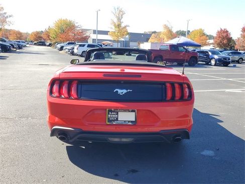 Used 2019 Ford Mustang Premium w/ Equipment Group 201A image 12