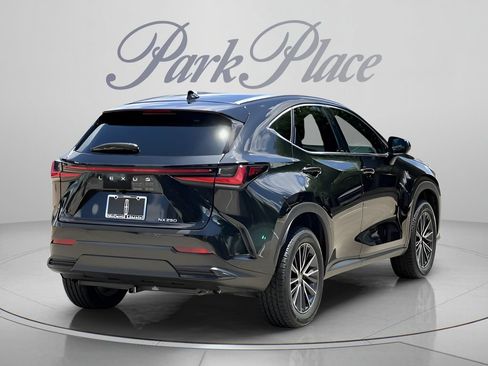 Used 2024 Lexus NX 250 FWD image 5