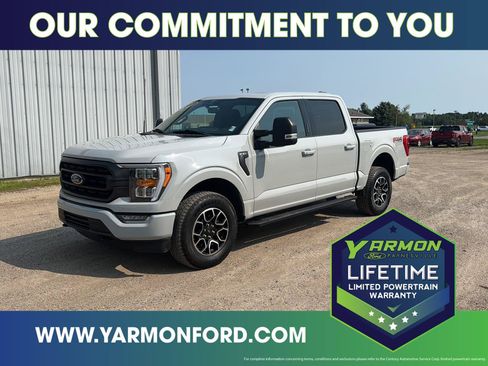 Used 2023 Ford F150 XLT w/ Equipment Group 302A High AWD/4WD image 1
