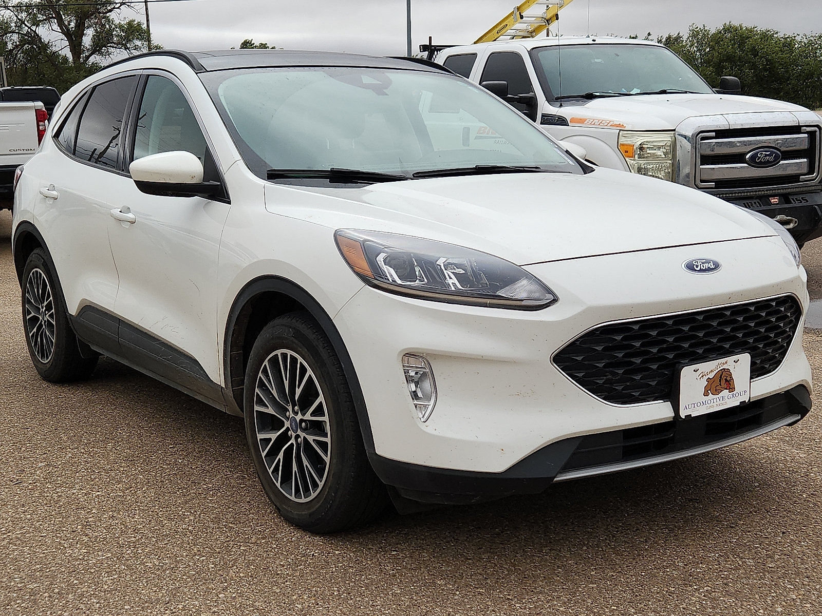 Used 2022 Ford Escape SEL FWD image 4