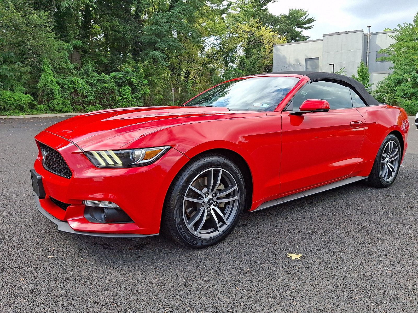 Used 2016 Ford Mustang Premium RWD image 5