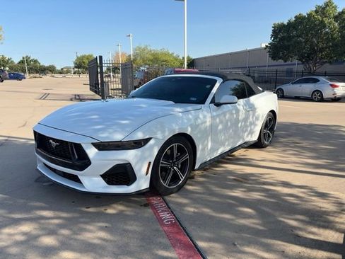 Used 2024 Ford Mustang Premium RWD image 1