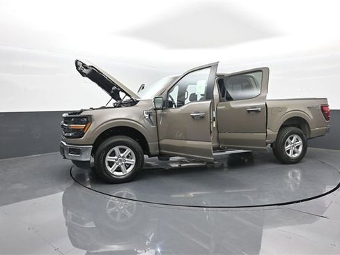 New 2025 Ford F150 XLT w/ Equipment Group 302A MID image 39