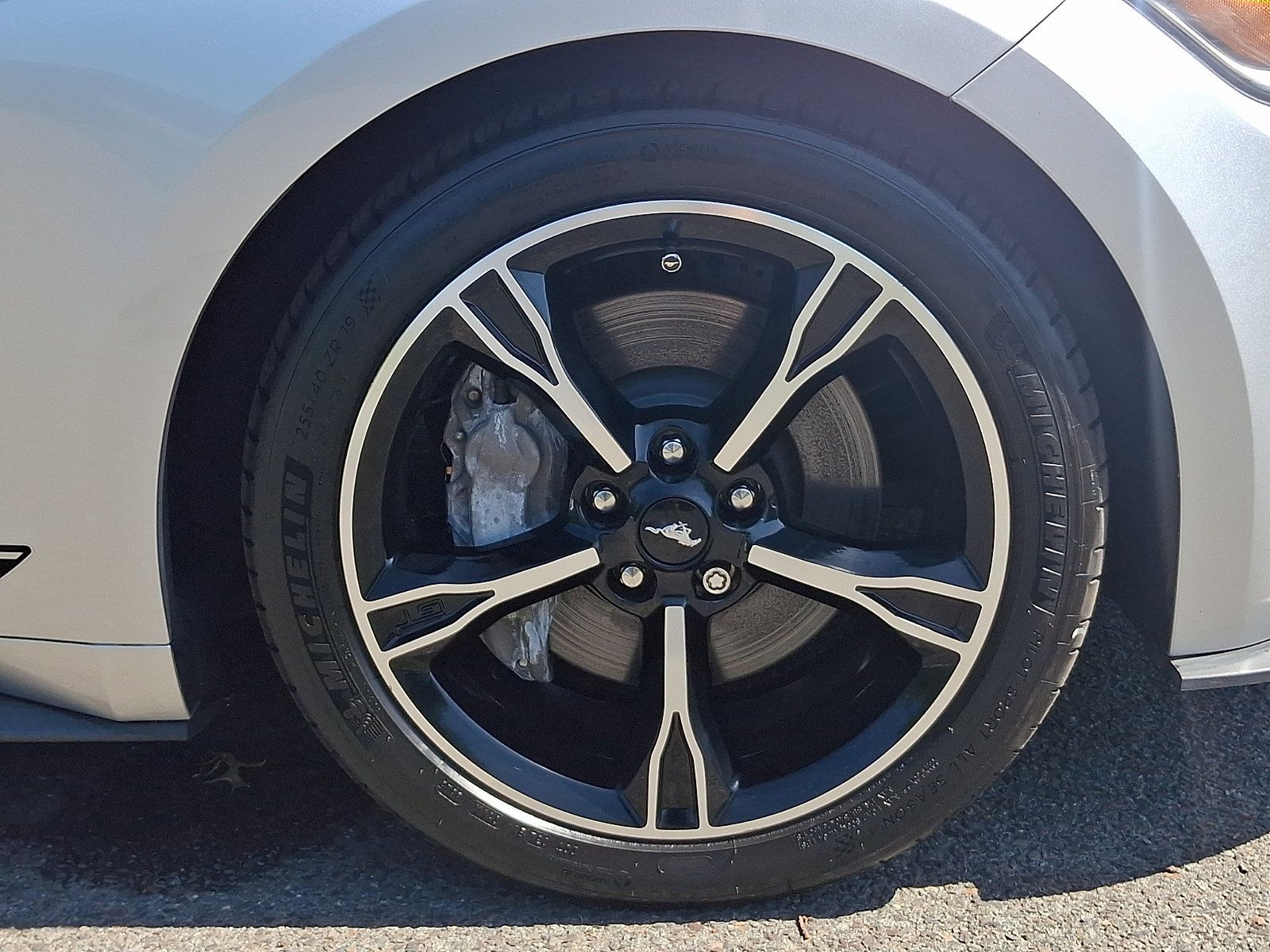Used 2016 Ford Mustang GT Premium w/ Enhanced Security Package RWD image 9