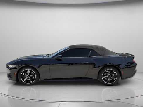Used 2024 Ford Mustang Premium RWD image 5