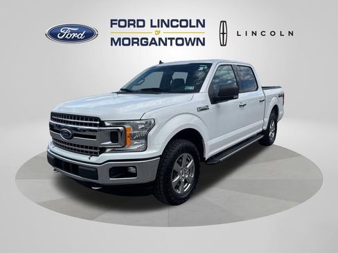 Used 2019 Ford F150 XLT w/ Equipment Group 302A Luxury AWD/4WD image 2