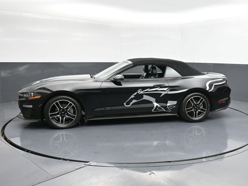 Used 2022 Ford Mustang Premium image 5