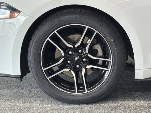 Used 2019 Ford Mustang Premium RWD image 23