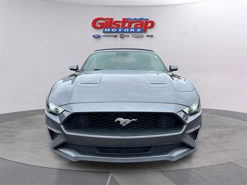 Used 2022 Ford Mustang Premium image 2