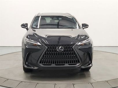 Used 2024 Lexus NX 350h AWD w/ Cold Area Package