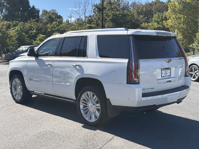 Used 2019 Cadillac Escalade Platinum RWD image 6