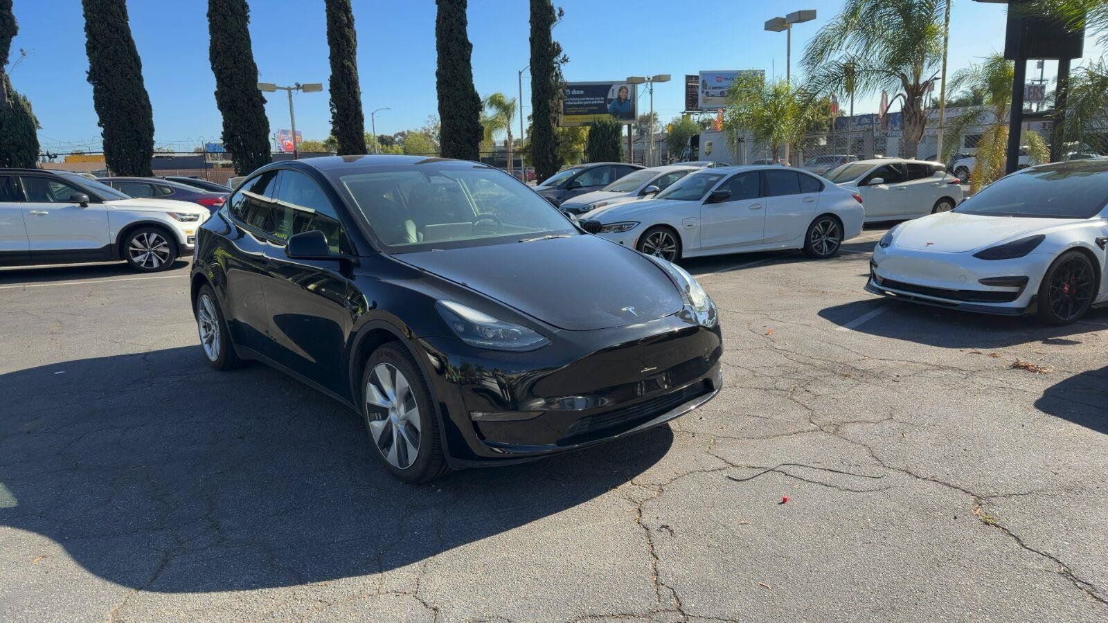 Used 2024 Tesla Model Y Long Range AWD/4WD image 2