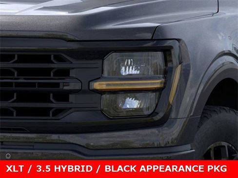 New 2025 Ford F150 XLT w/ Equipment Group 302A MID image 44