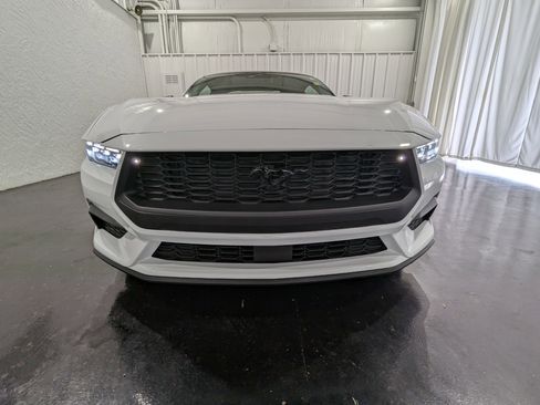 Used 2024 Ford Mustang Premium w/ Mustang Nite Pony Package image 4
