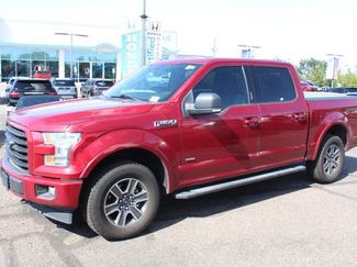 Used 2017 Ford F150 XLT w/ Equipment Group 302A Luxury image 1