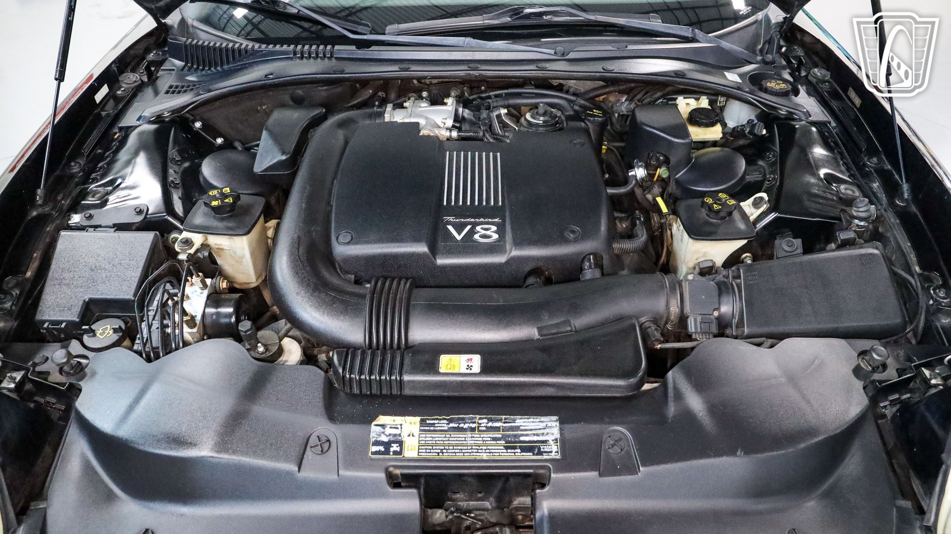 Used 2002 Ford Thunderbird RWD image 3