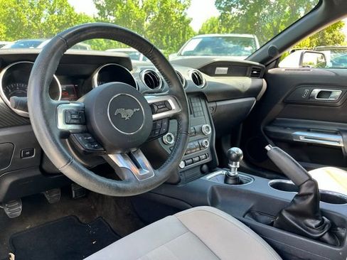 Used 2019 Ford Mustang Convertible RWD image 9