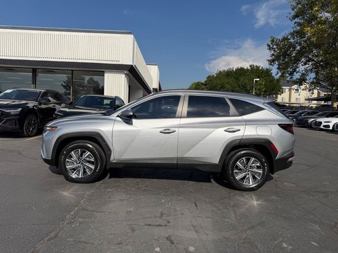 Used 2024 Hyundai Tucson Blue AWD/4WD image 14
