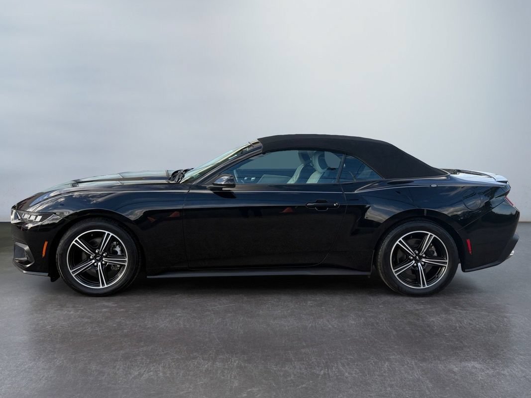 Used 2024 Ford Mustang Premium RWD image 9