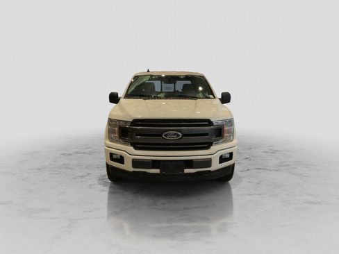 Used 2019 Ford F150 XLT w/ Equipment Group 302A Luxury image 12