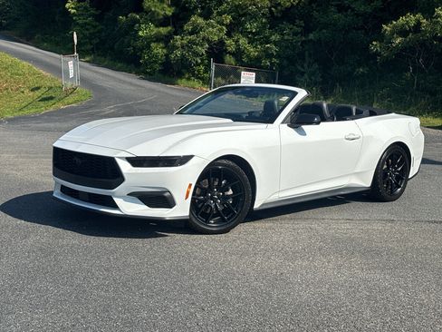 Used 2024 Ford Mustang Convertible w/ Mustang Nite Pony Package RWD image 13