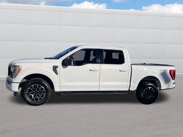 Used 2023 Ford F150 XLT w/ Equipment Group 302A High AWD/4WD image 2