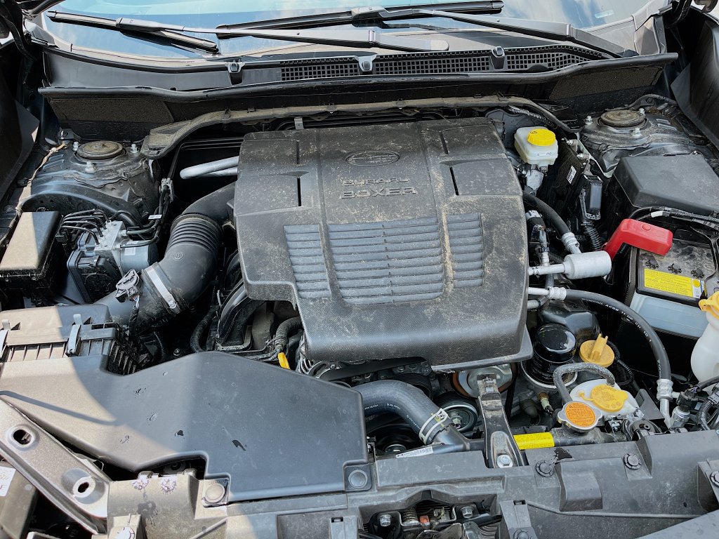 Used 2024 Subaru Forester Wilderness AWD/4WD image 31