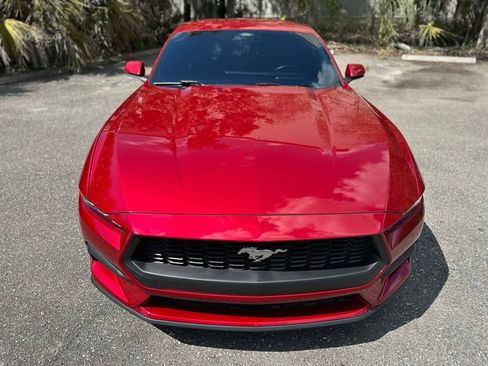 Used 2024 Ford Mustang Premium image 4