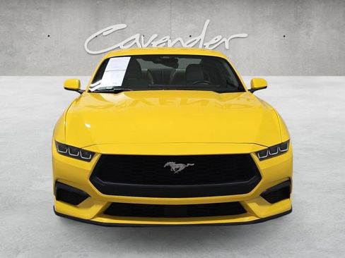 Used 2024 Ford Mustang Premium image 18