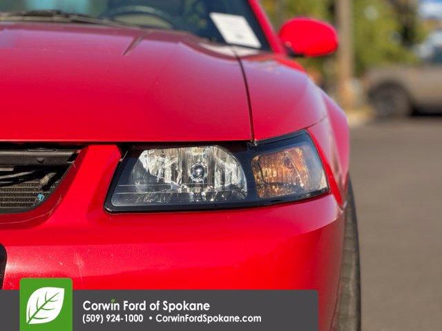 Used 2003 Ford Mustang Cobra RWD image 8